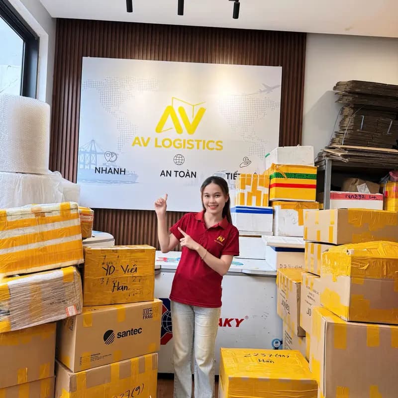 Nhân viên AV Logistics giữa các thùng hàng trong văn phòng